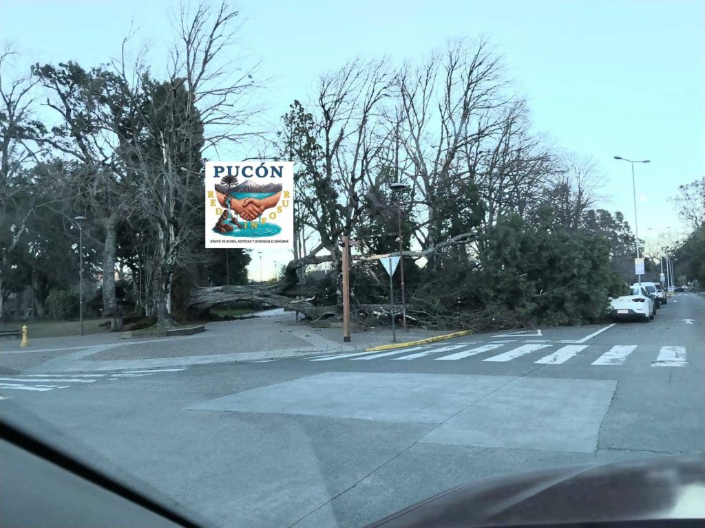 Araucanía: Casi 60 mil conexiones a sistema eléctrico siguen sin energía tras temporal de viento en la región 1 PUCON 0987419947 3635531617315089070 n