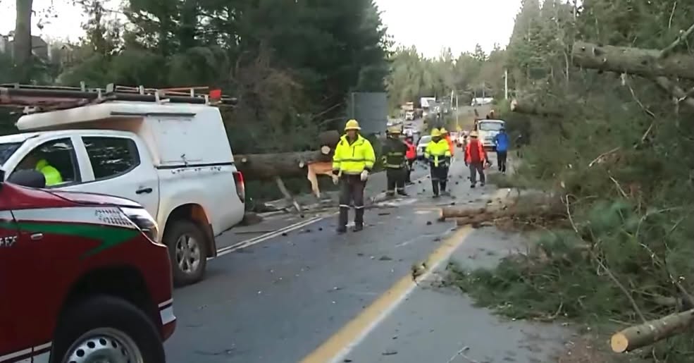 Caída de árboles obliga a cortar rutas entre Villarrica y Pucón: hay miles de clientes sin luz 1 PUCON 53272 4778716867909462401 n